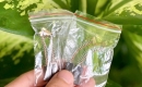 Cont PT Sintrue đã cập bến thêm hàng ạ!