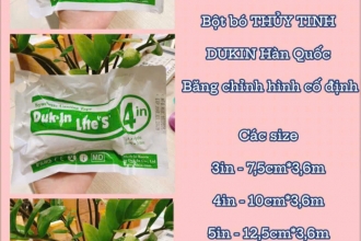 DUKIN - HÀN QUỐC tiếp tục xuống kho sáng hôm nay :