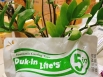 BỘT BÓ DUKIN - HÀN QUỐC đã sẵn hàng ạ