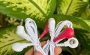 Hàng Cont PT đã về đủ số lượng –...